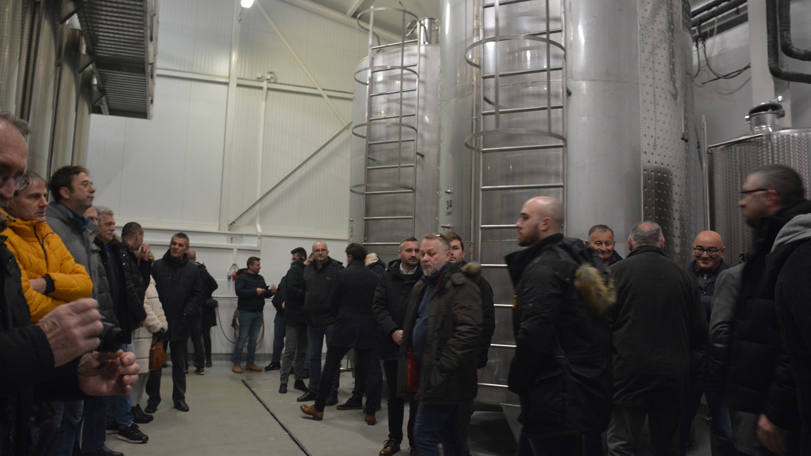 Blagoslov-vinograda-05.jpg