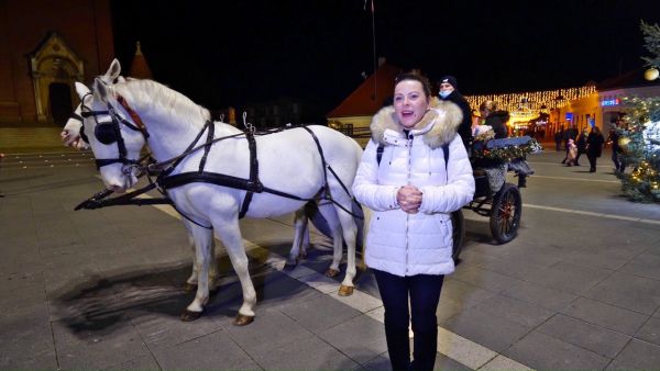 [RASPORED] Adventske vožnje fijakerom