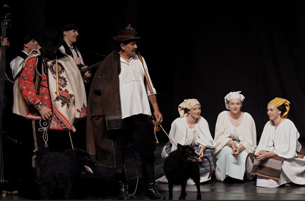 [VIDEO] Ponos Slavonije: hrvatski ovčar kulturno nematerijalno dobro RH
