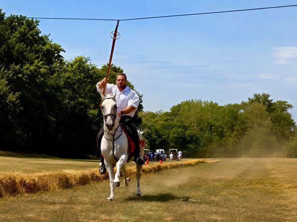 Održana 15. Šokačka alka u Selcima Đakovačkim – slavonska tradicija ponovno okupila brojne posjetitelje